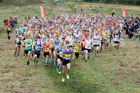 Senior mens Start Fitness North Eastern Harriers League, Wrekenton, Gateshead. Photo:  David T. Hewitson/Sports for All Pics